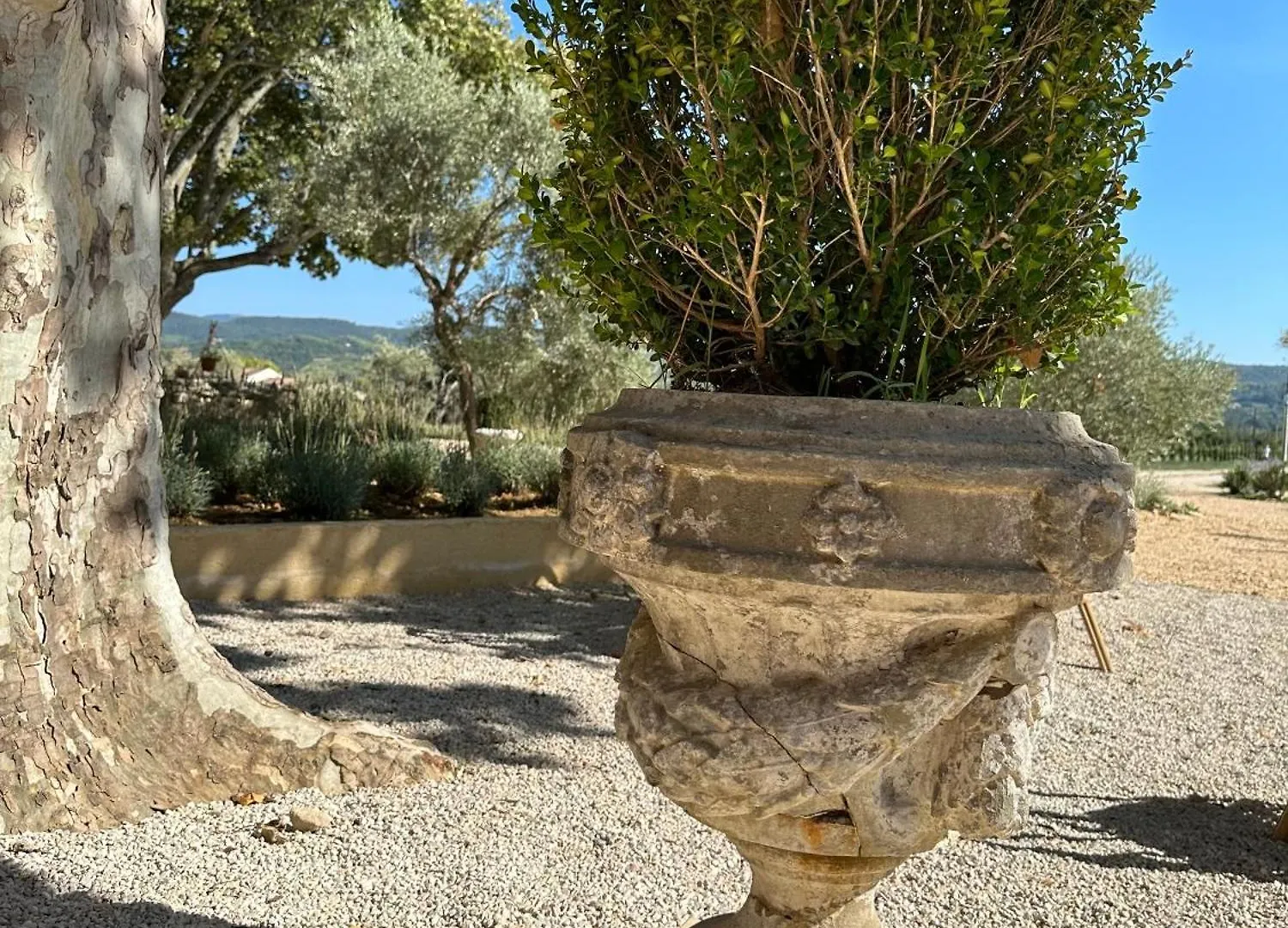 Domaine D'Egenia Villa Roussillon  Holiday home