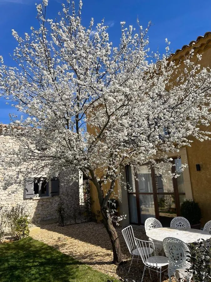 Domaine D'Egenia Villa Roussillon  France